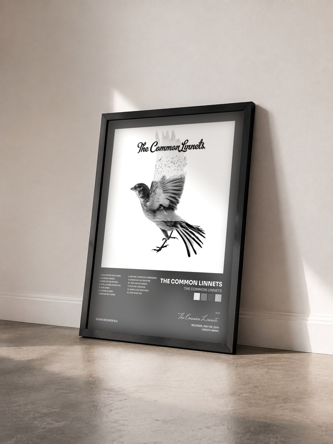 #noir Tableau de l'album The Common Linnets de The Common Linnets vu de trois quarts, cadre noir