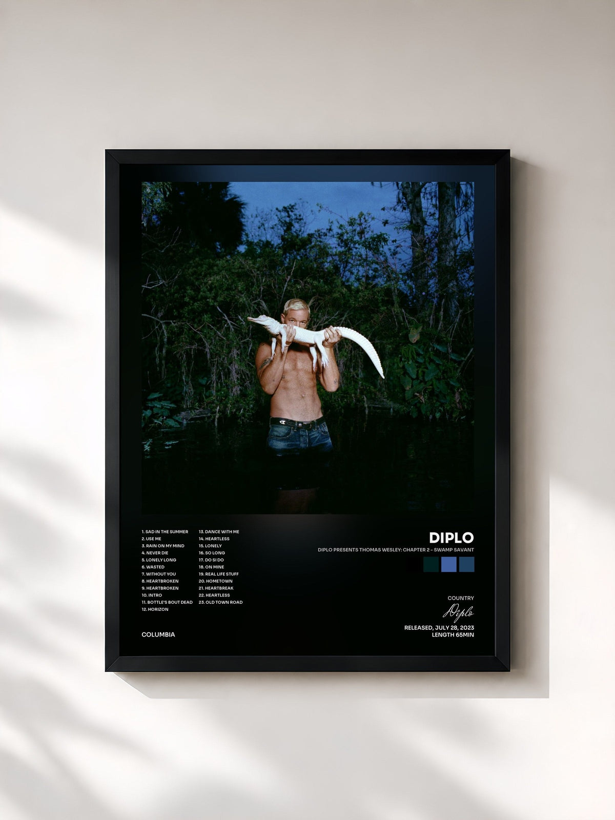 #noir Tableau de l'album Diplo Presents Thomas Wesley: Chapter 2 - Swamp Savant de Diplo, cadre noir, imprimé et encadré en France