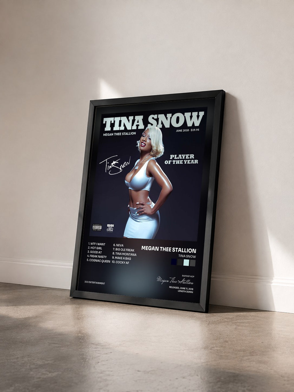 #noir Tableau de l'album Tina Snow de Megan Thee Stallion vu de trois quarts, cadre noir