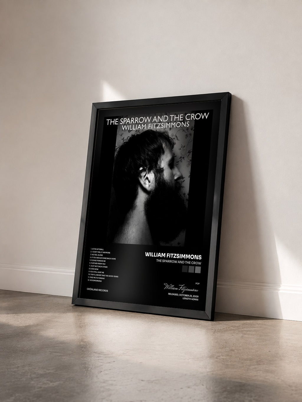 #noir Tableau de l'album The Sparrow and the Crow de William Fitzsimmons vu de trois quarts, cadre noir