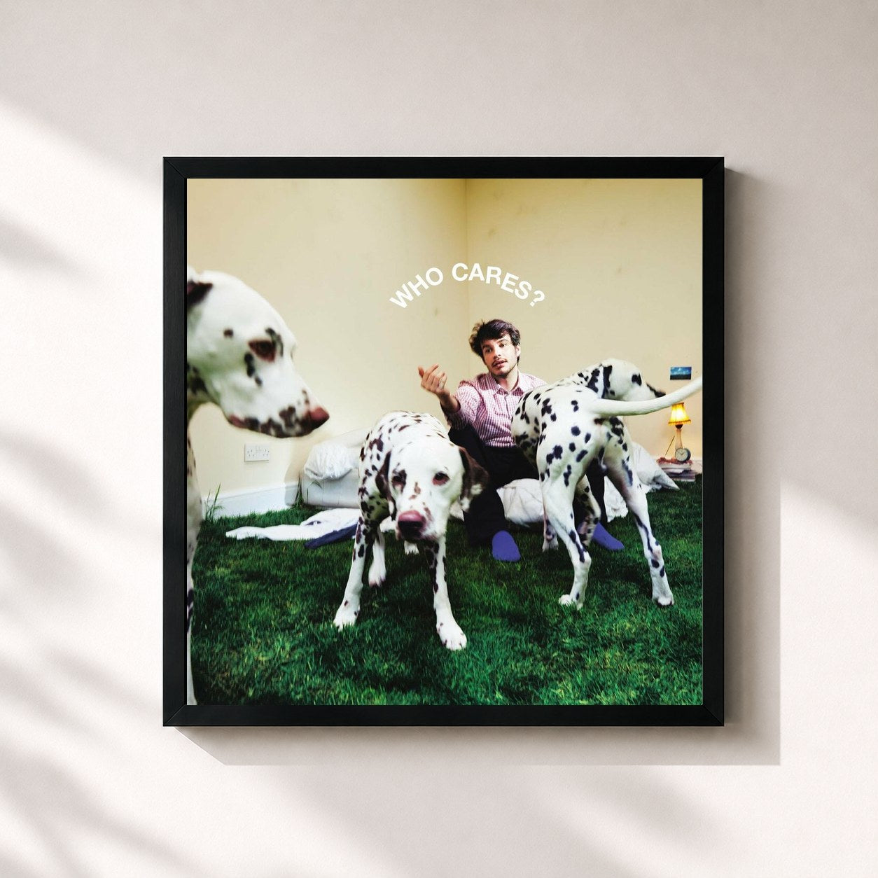 #noir Tableau carré de l'album WHO CARES? de Rex Orange County, cadre noir 32x32 cm