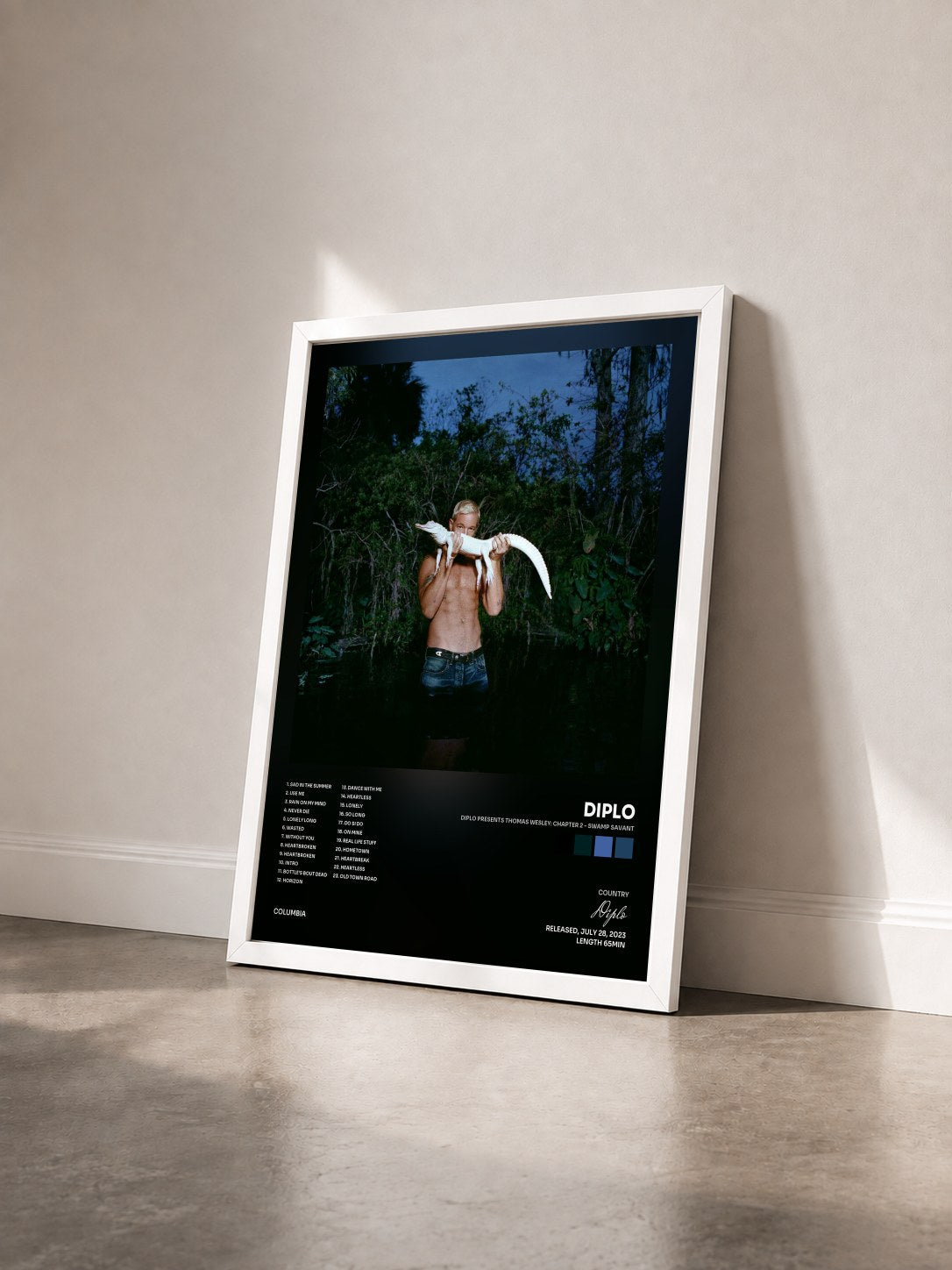 #blanc Tableau de l'album Diplo Presents Thomas Wesley: Chapter 2 - Swamp Savant de Diplo vu de trois quarts, cadre blanc