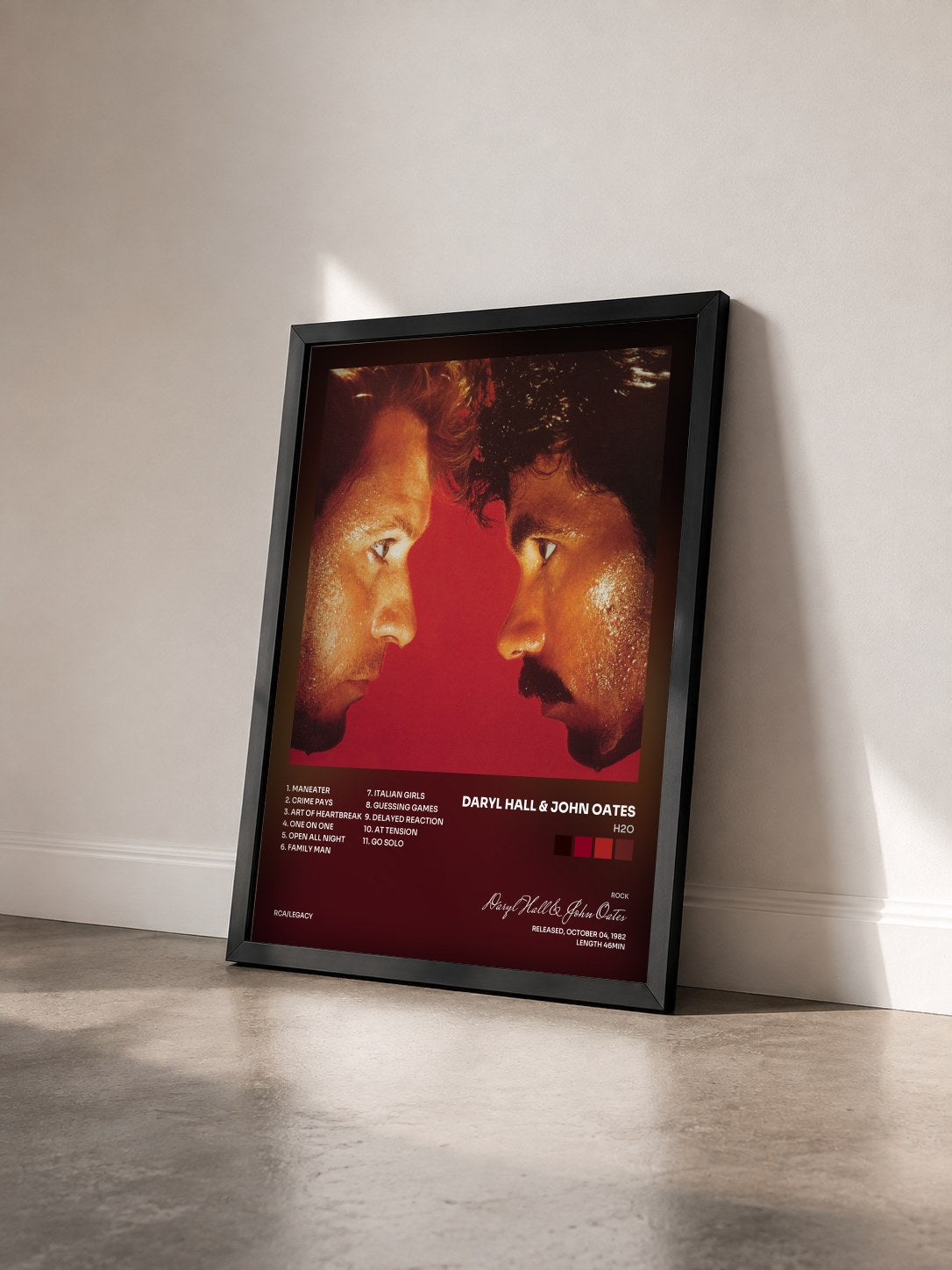 #noir Tableau de l'album H2O de Daryl Hall & John Oates vu de trois quarts, cadre noir