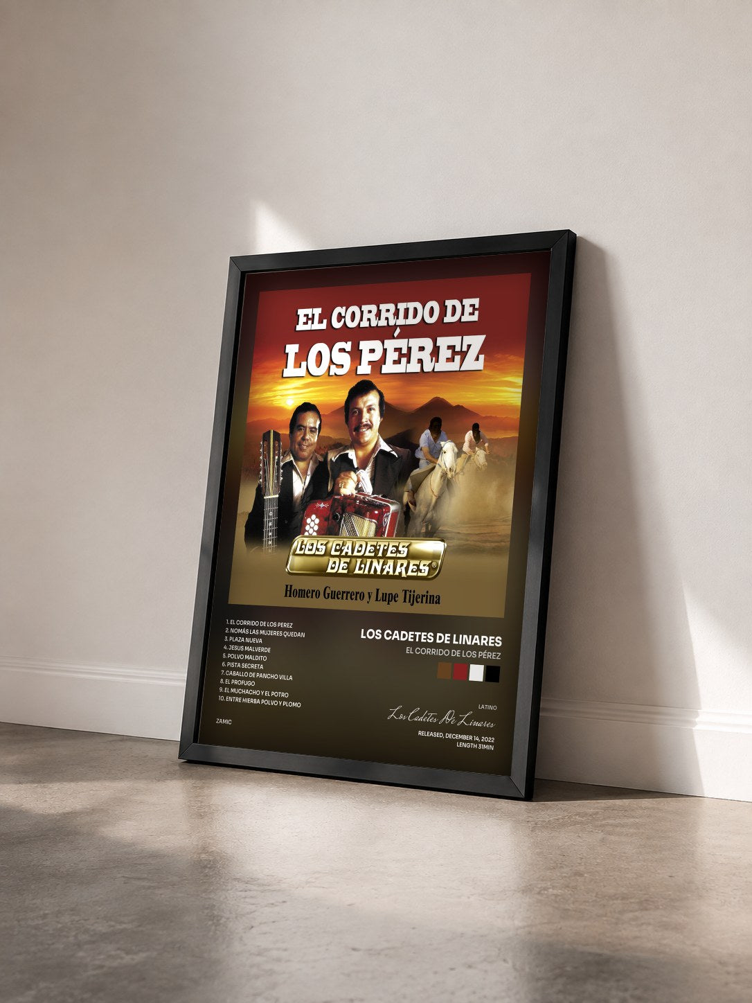 #noir Tableau de l'album El Corrido De Los Pérez de Los Cadetes De Linares vu de trois quarts, cadre noir