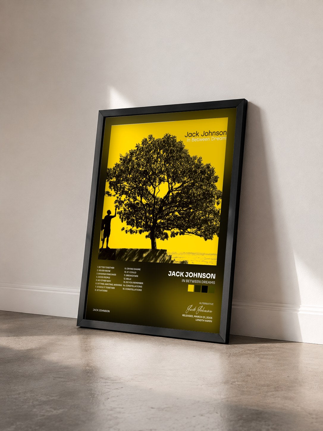 #noir Tableau de l'album In Between Dreams de Jack Johnson vu de trois quarts, cadre noir