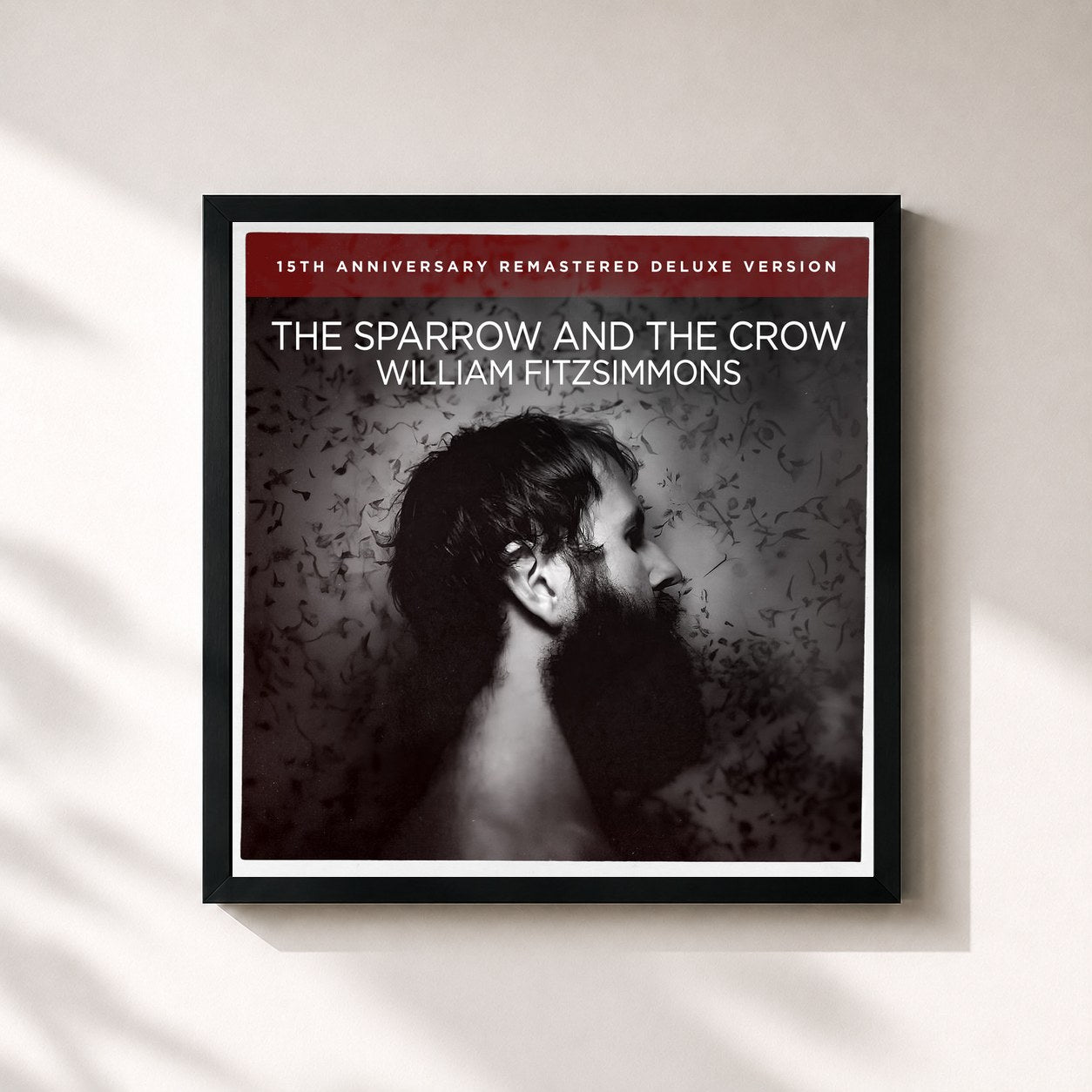 #noir Tableau carré de l'album The Sparrow and the Crow (Remastered Deluxe Version) de William Fitzsimmons, cadre noir 32x32 cm