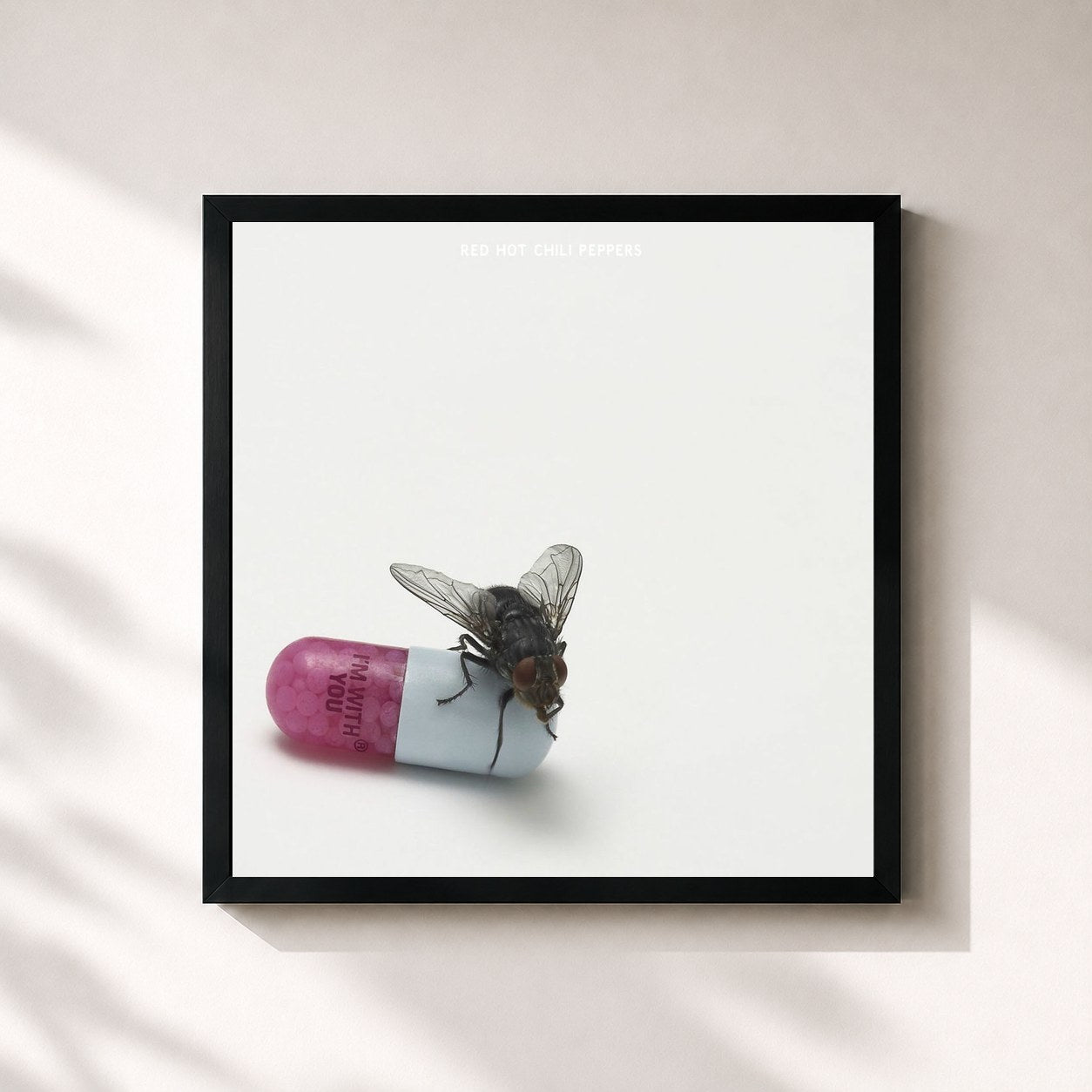 #noir I'm with You by Red Hot Chili Peppers as a square framed art print, black 32x32 cm frame