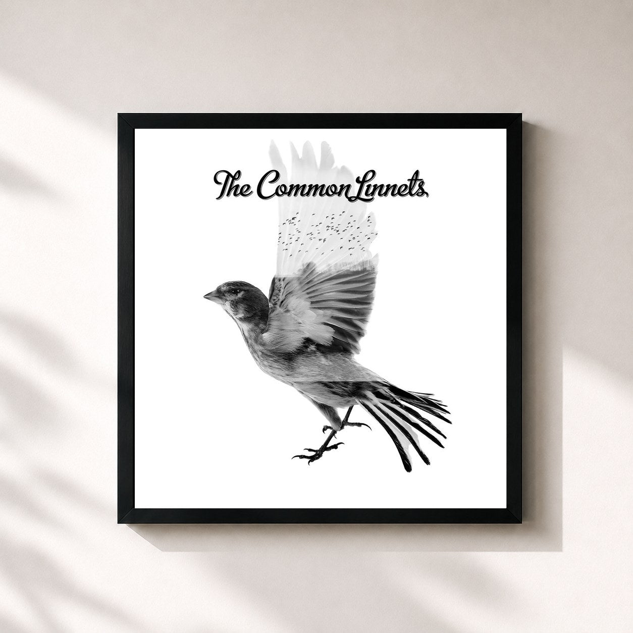 #noir Tableau carré de l'album The Common Linnets de The Common Linnets, cadre noir 32x32 cm