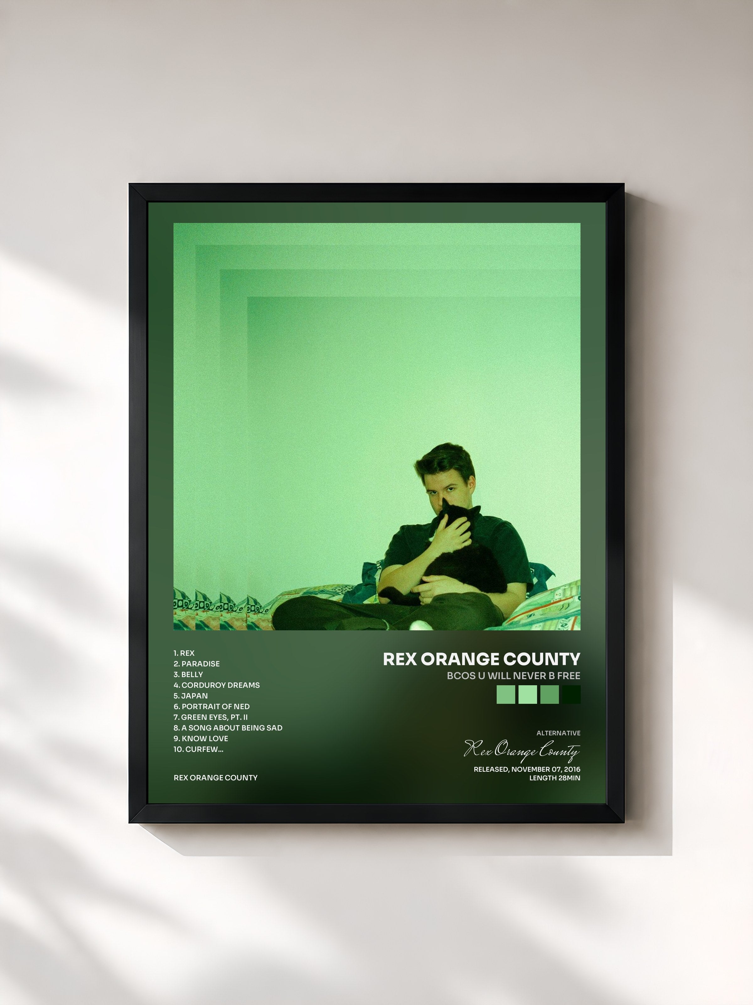 #noir Tableau de l'album Bcos U Will Never B Free de Rex Orange County, cadre noir, imprimé et encadré en France