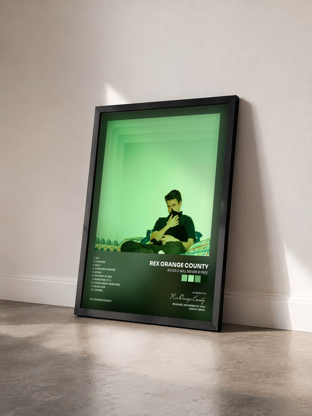 #noir Tableau de l'album Bcos U Will Never B Free de Rex Orange County vu de trois quarts, cadre noir