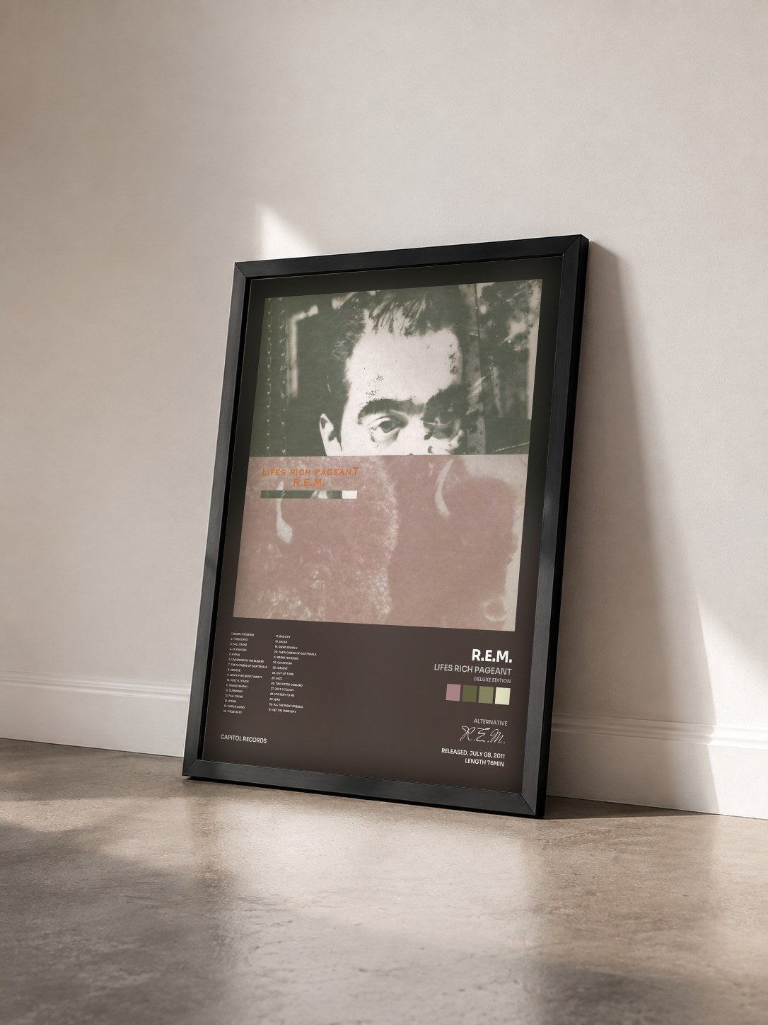 #noir Tableau de l'album Lifes Rich Pageant (Deluxe Edition) de R.E.M. vu de trois quarts, cadre noir