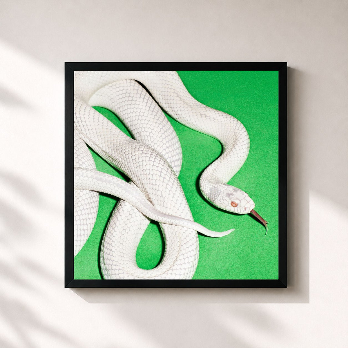 #noir private music von Deftones als quadratischer Kunstdruck, schwarzer Rahmen 32x32 cm