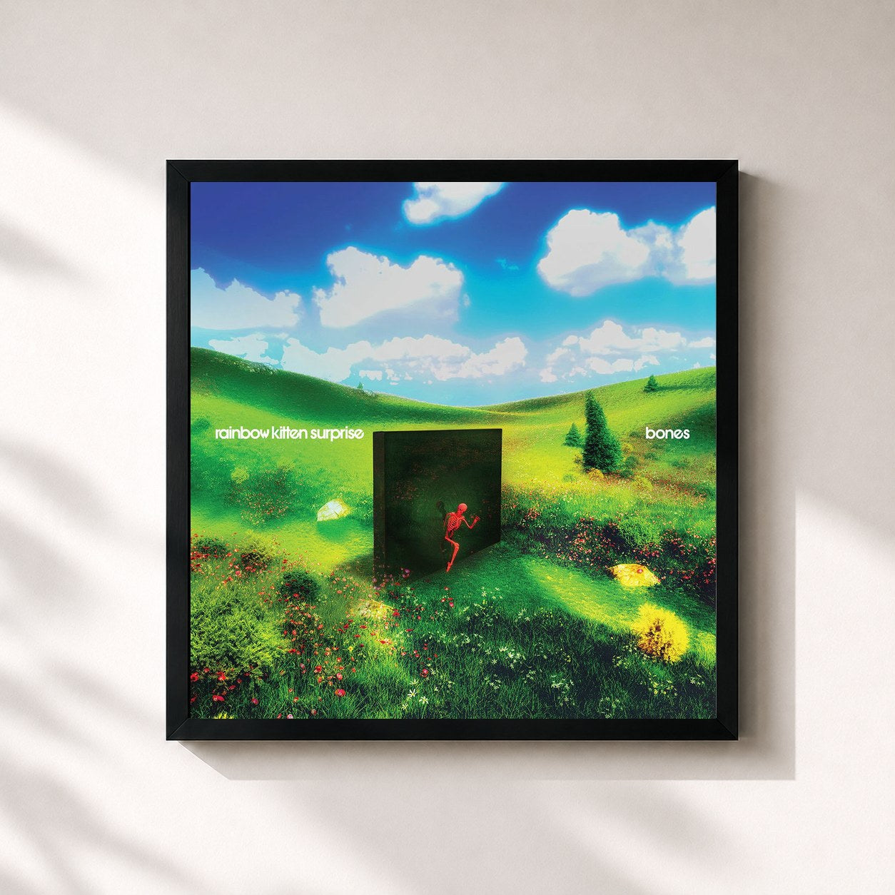 #noir Tableau carré de l'album bones de Rainbow Kitten Surprise, cadre noir 32x32 cm