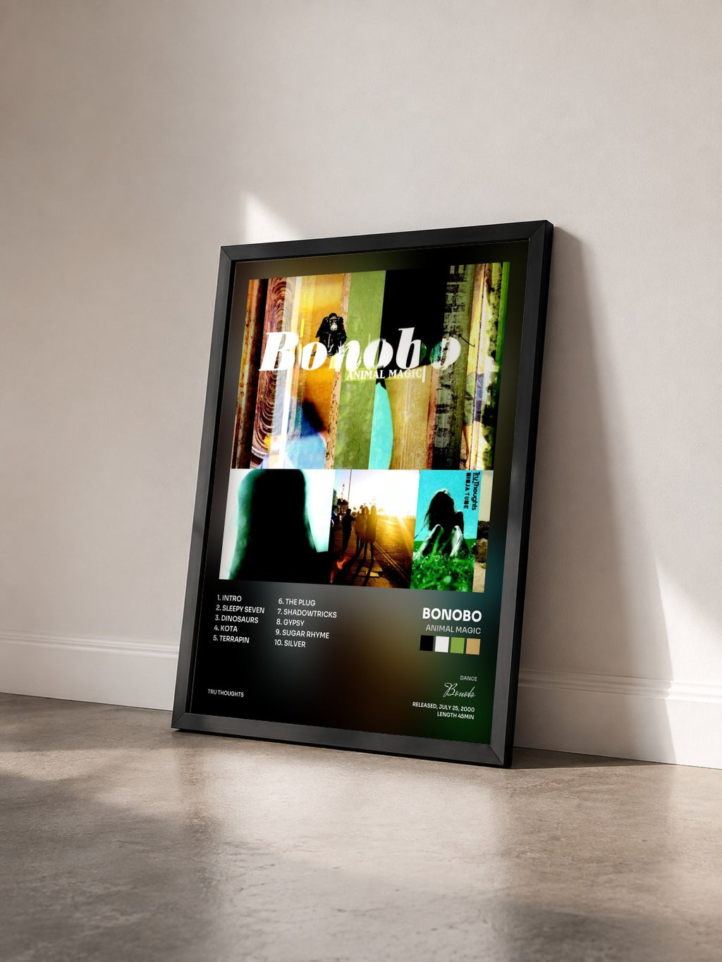 #noir Tableau de l'album Animal Magic de Bonobo vu de trois quarts, cadre noir