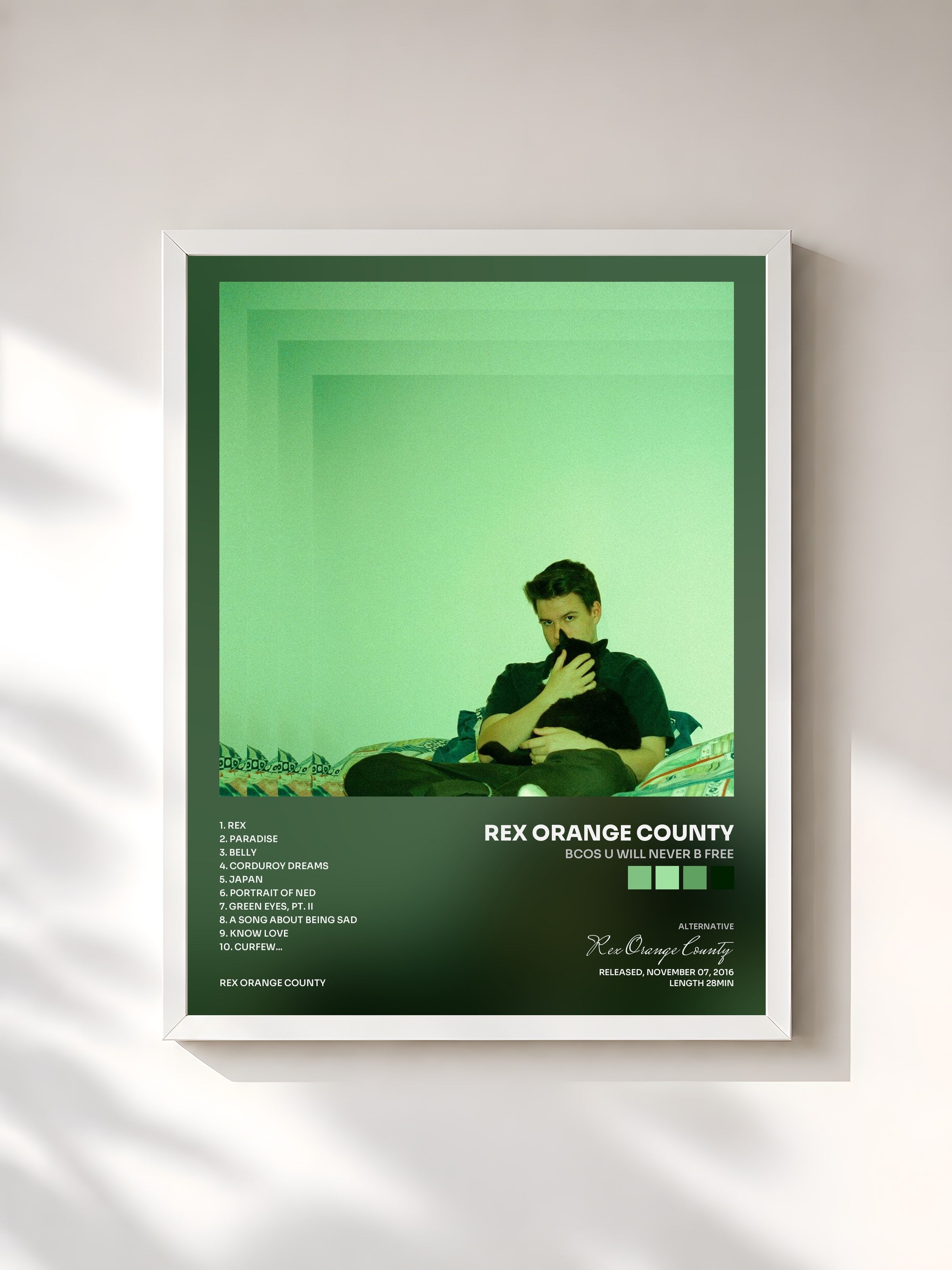 #blanc Tableau de l'album Bcos U Will Never B Free de Rex Orange County, cadre blanc, imprimé et encadré en France