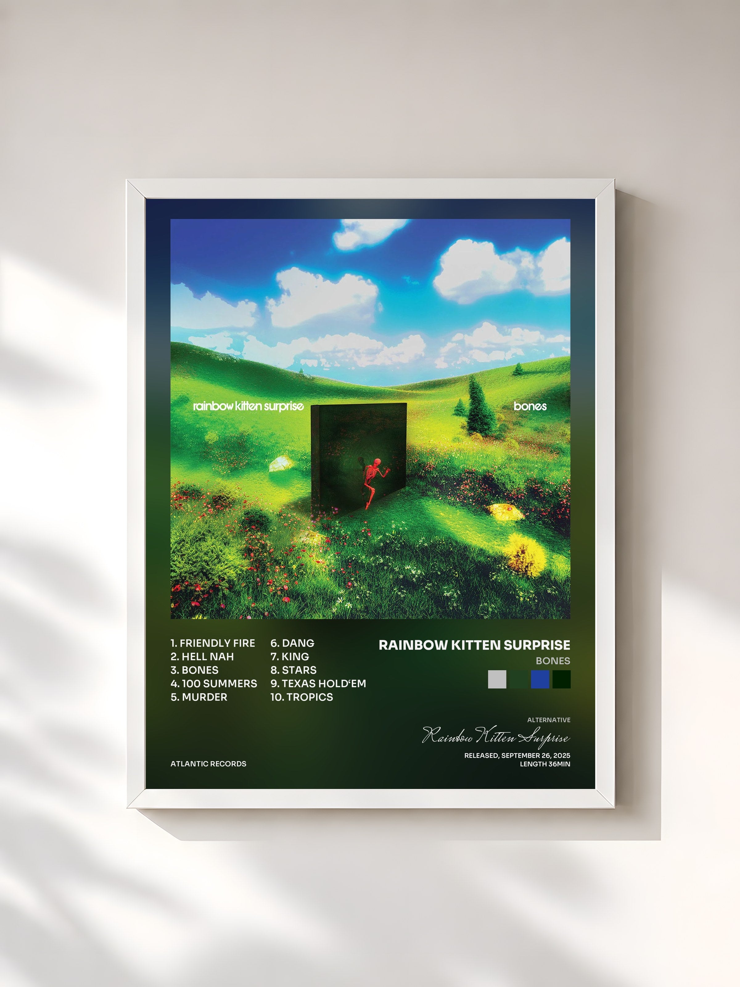 #blanc Tableau de l'album bones de Rainbow Kitten Surprise, cadre blanc, imprimé et encadré en France