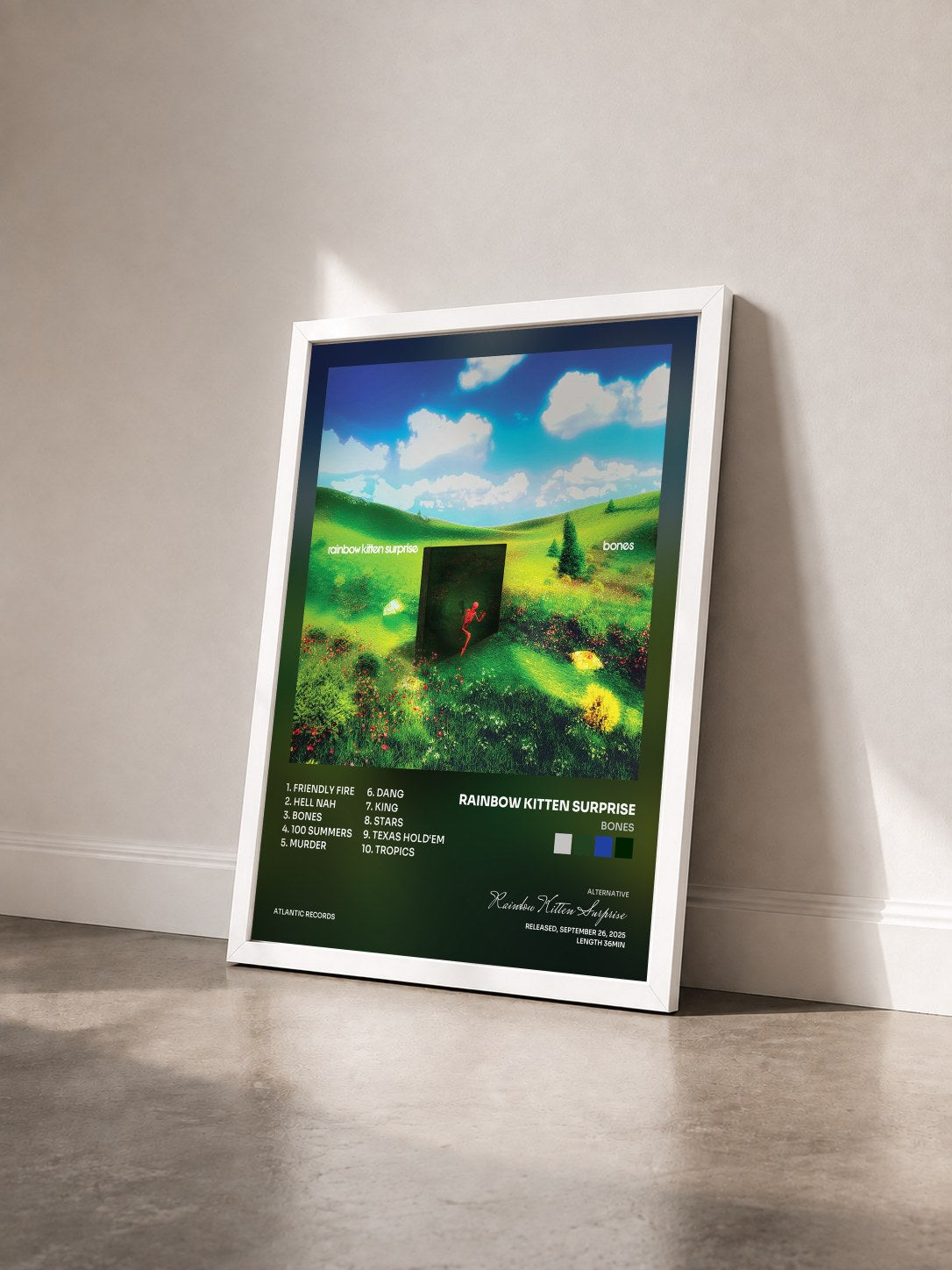#blanc Tableau de l'album bones de Rainbow Kitten Surprise vu de trois quarts, cadre blanc
