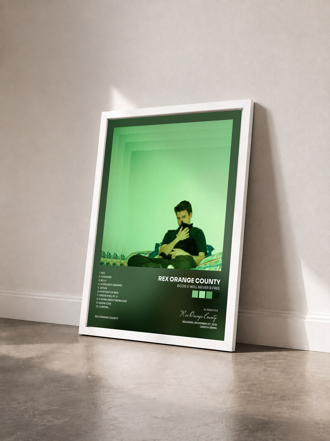 #blanc Tableau de l'album Bcos U Will Never B Free de Rex Orange County vu de trois quarts, cadre blanc