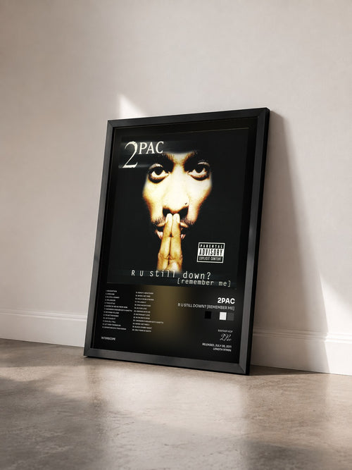 #noir Tableau de l'album R U Still Down? [Remember Me] de 2Pac vu de trois quarts, cadre noir