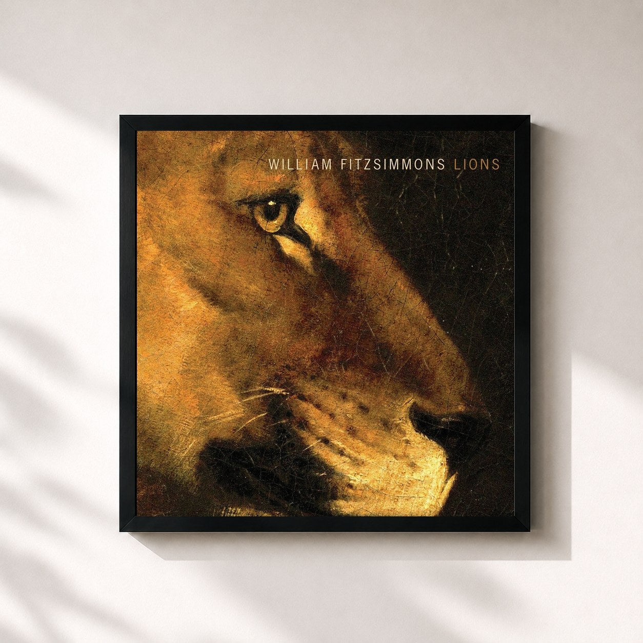#noir Tableau carré de l'album Lions de William Fitzsimmons, cadre noir 32x32 cm