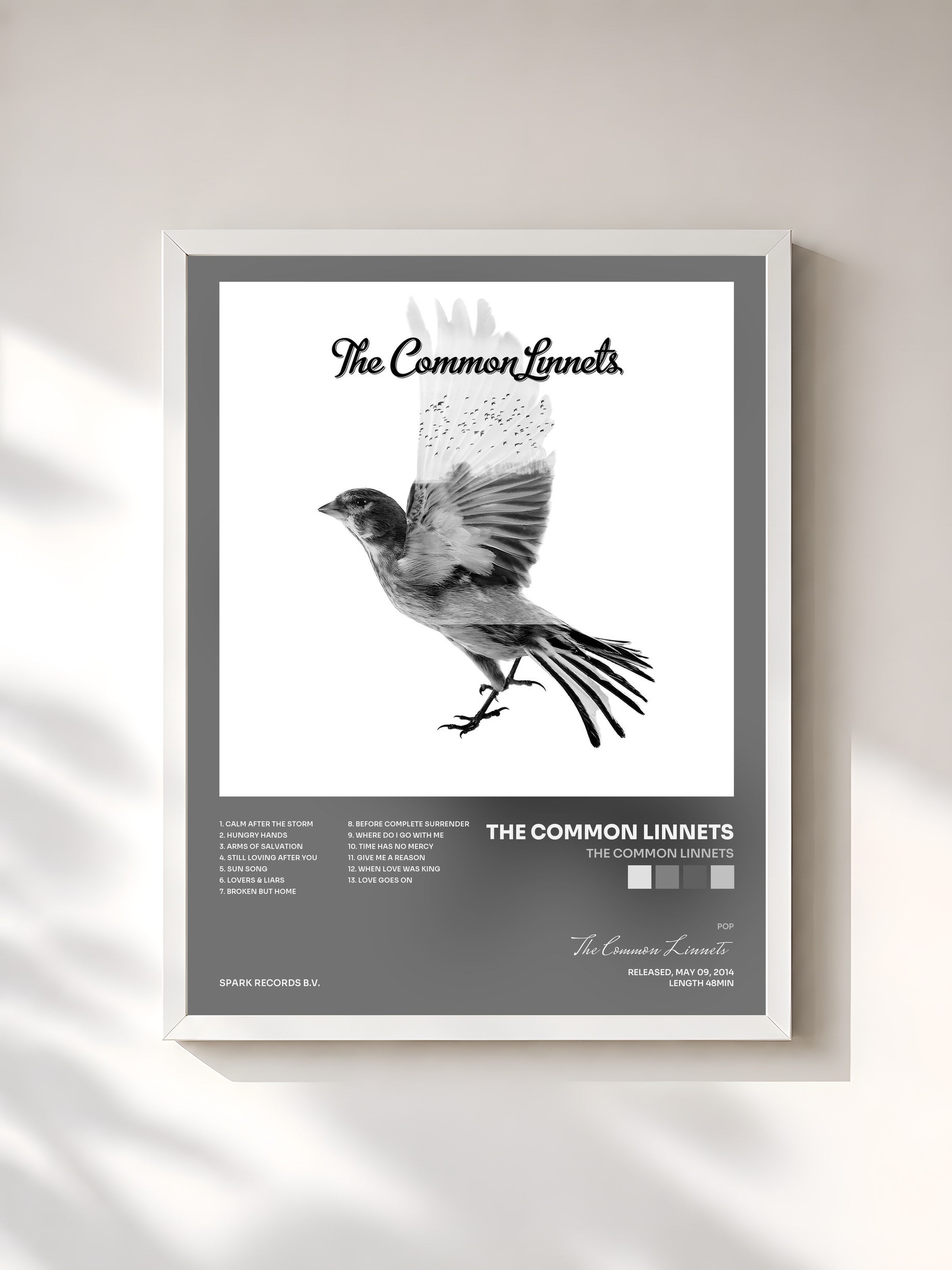 #blanc Tableau de l'album The Common Linnets de The Common Linnets, cadre blanc, imprimé et encadré en France