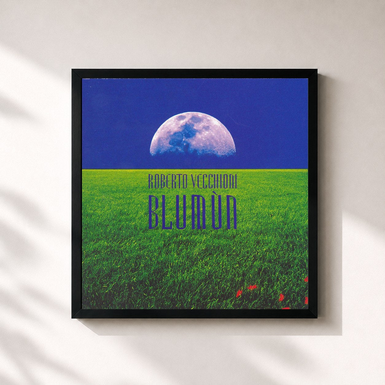 #noir Tableau carré de l'album Blumùn de Roberto Vecchioni, cadre noir 32x32 cm