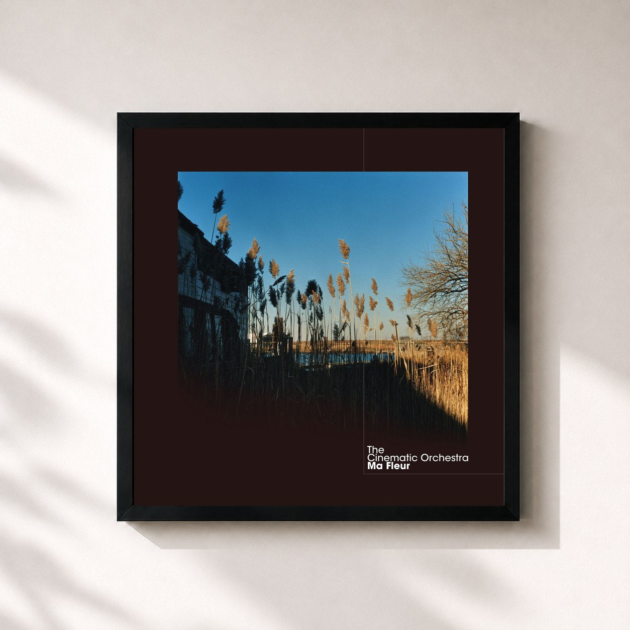 #noir Tableau carré de l'album Ma Fleur de The Cinematic Orchestra, cadre noir 32x32 cm