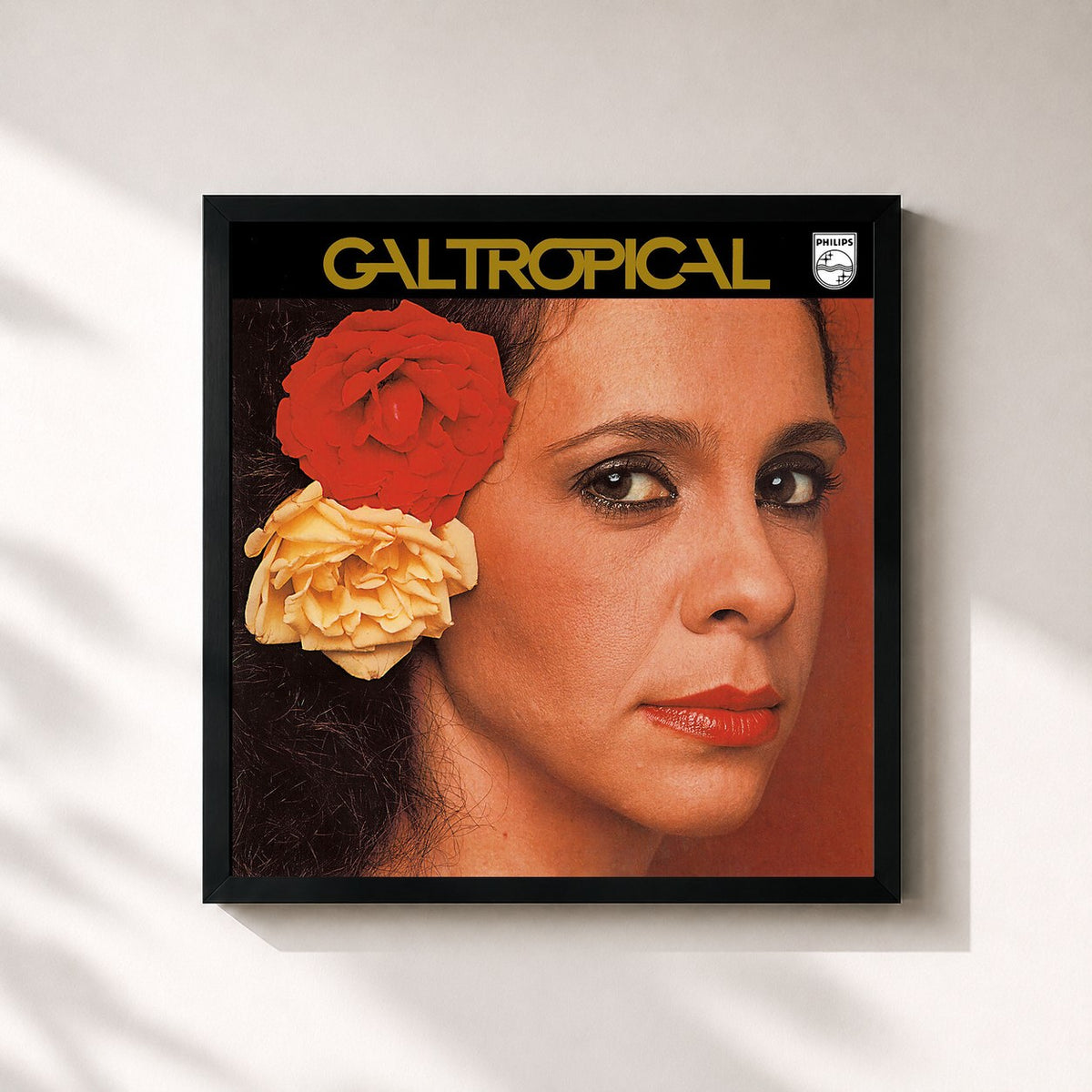 #noir Tableau carré de l'album Gal Tropical de Gal Costa, cadre noir 32x32 cm