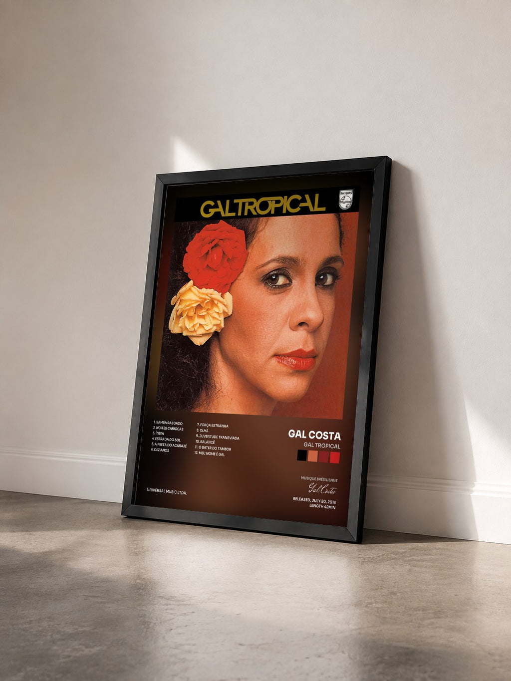 #noir Tableau de l'album Gal Tropical de Gal Costa vu de trois quarts, cadre noir