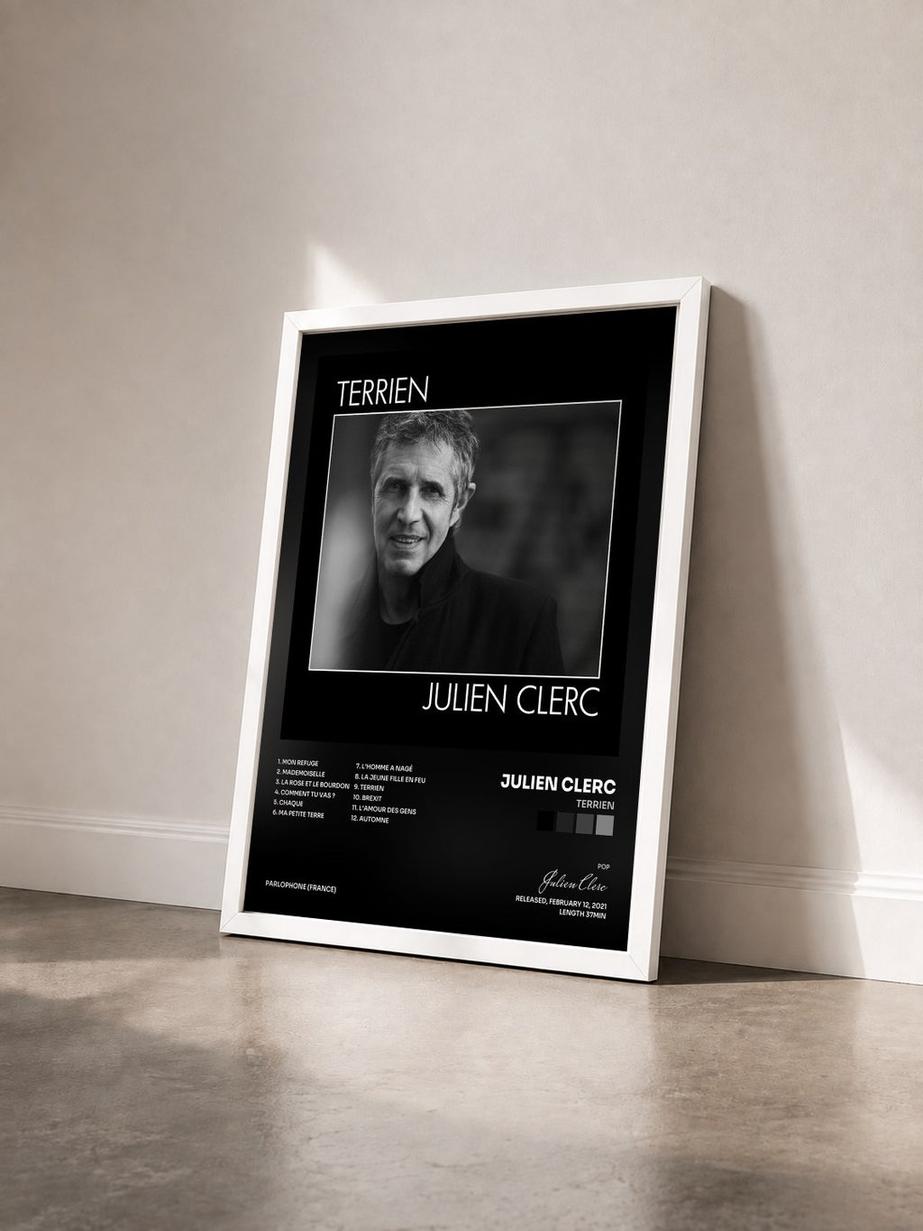 #blanc Tableau de l'album Terrien de Julien Clerc vu de trois quarts, cadre blanc