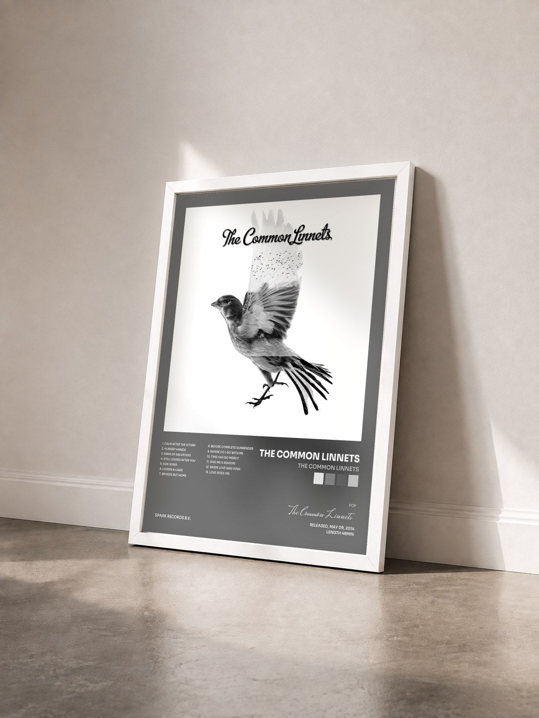 #blanc Tableau de l'album The Common Linnets de The Common Linnets vu de trois quarts, cadre blanc