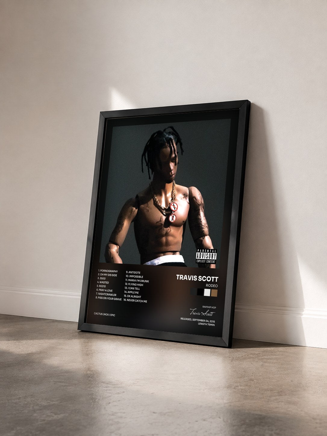 #noir Tableau de l'album Rodeo de Travis Scott vu de trois quarts, cadre noir