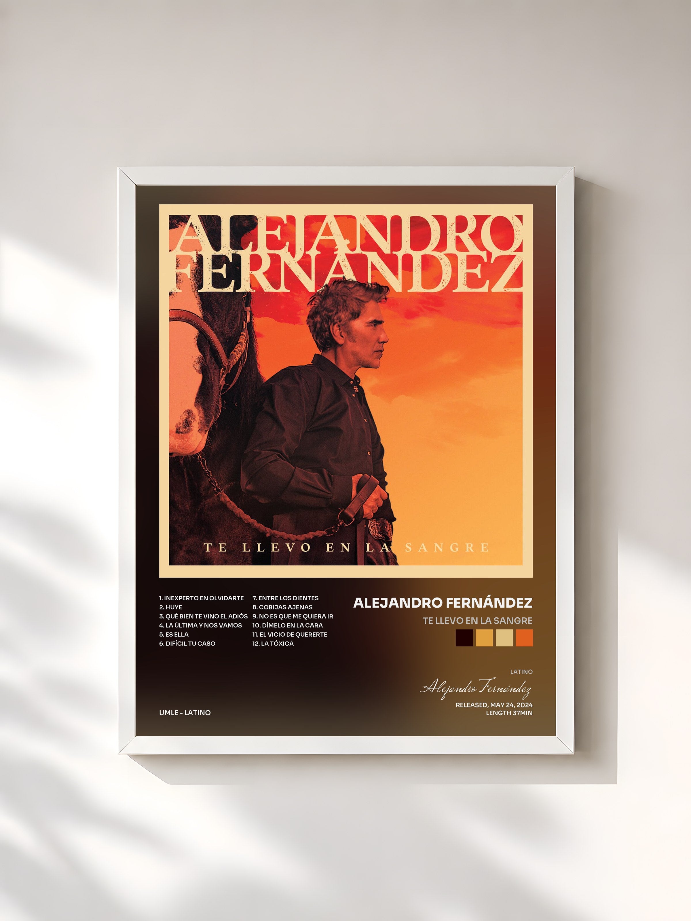 #blanc Tableau de l'album Te Llevo En La Sangre de Alejandro Fernández, cadre blanc, imprimé et encadré en France