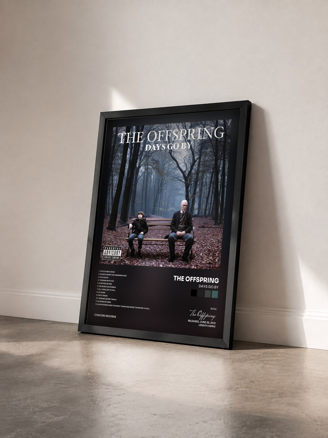 #noir Tableau de l'album Days Go By de The Offspring vu de trois quarts, cadre noir