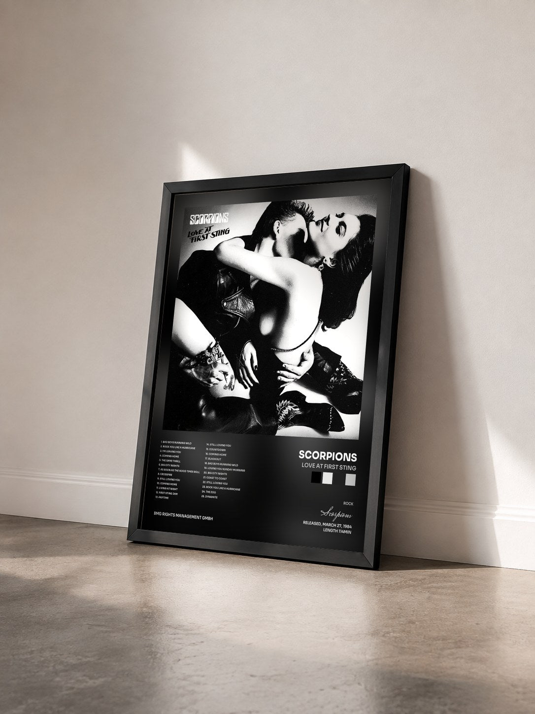 #noir Tableau de l'album Love At First Sting de Scorpions vu de trois quarts, cadre noir