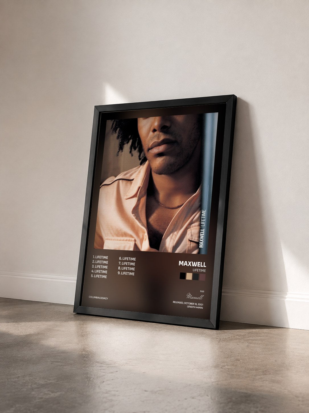 #noir Tableau de l'album Lifetime de Maxwell vu de trois quarts, cadre noir