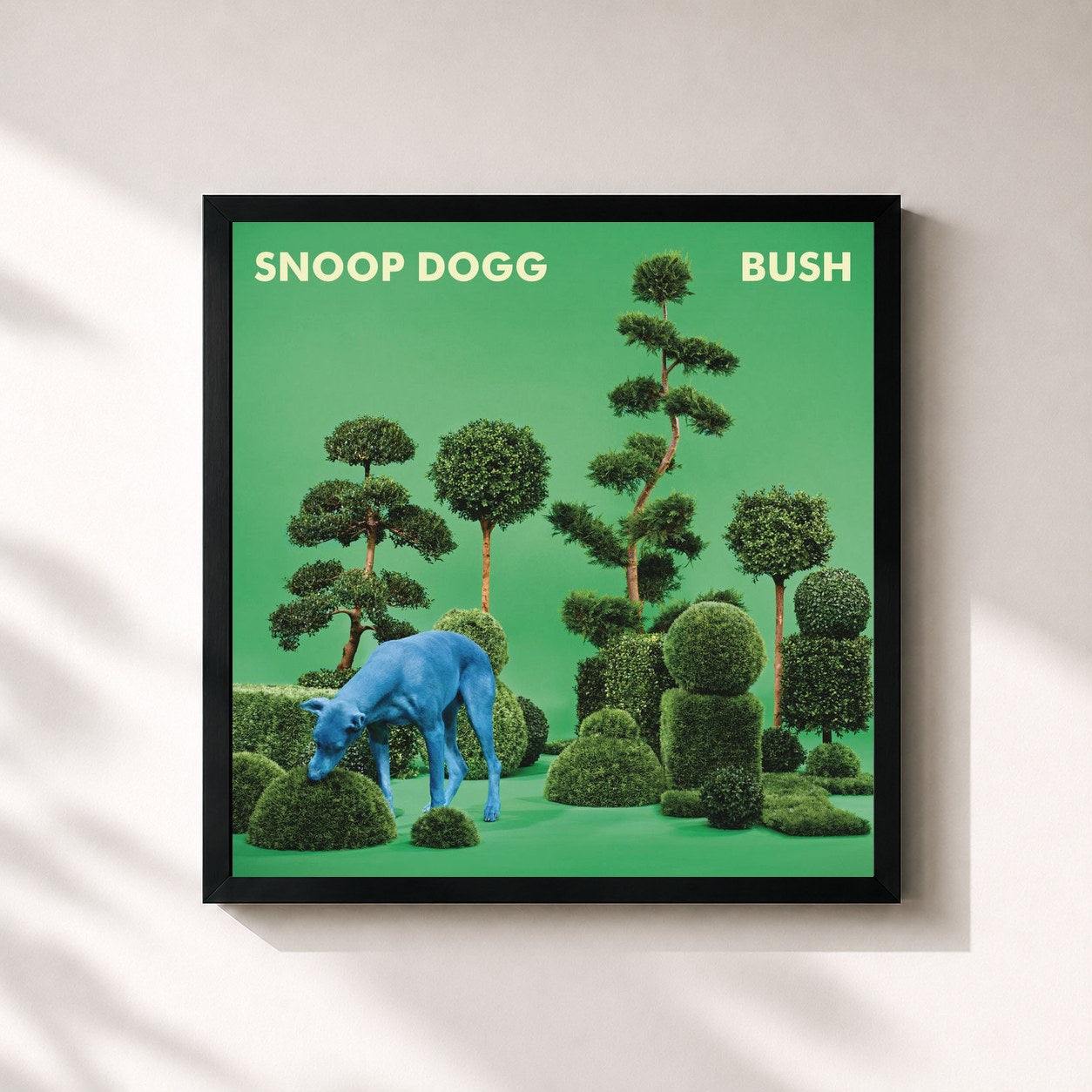 #noir Tableau carré de l'album BUSH de Snoop Dogg, cadre noir 32x32 cm