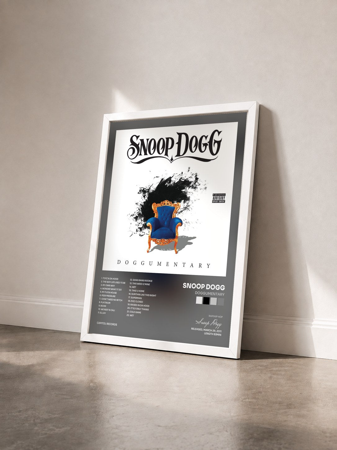 #blanc Tableau de l'album Doggumentary de Snoop Dogg vu de trois quarts, cadre blanc