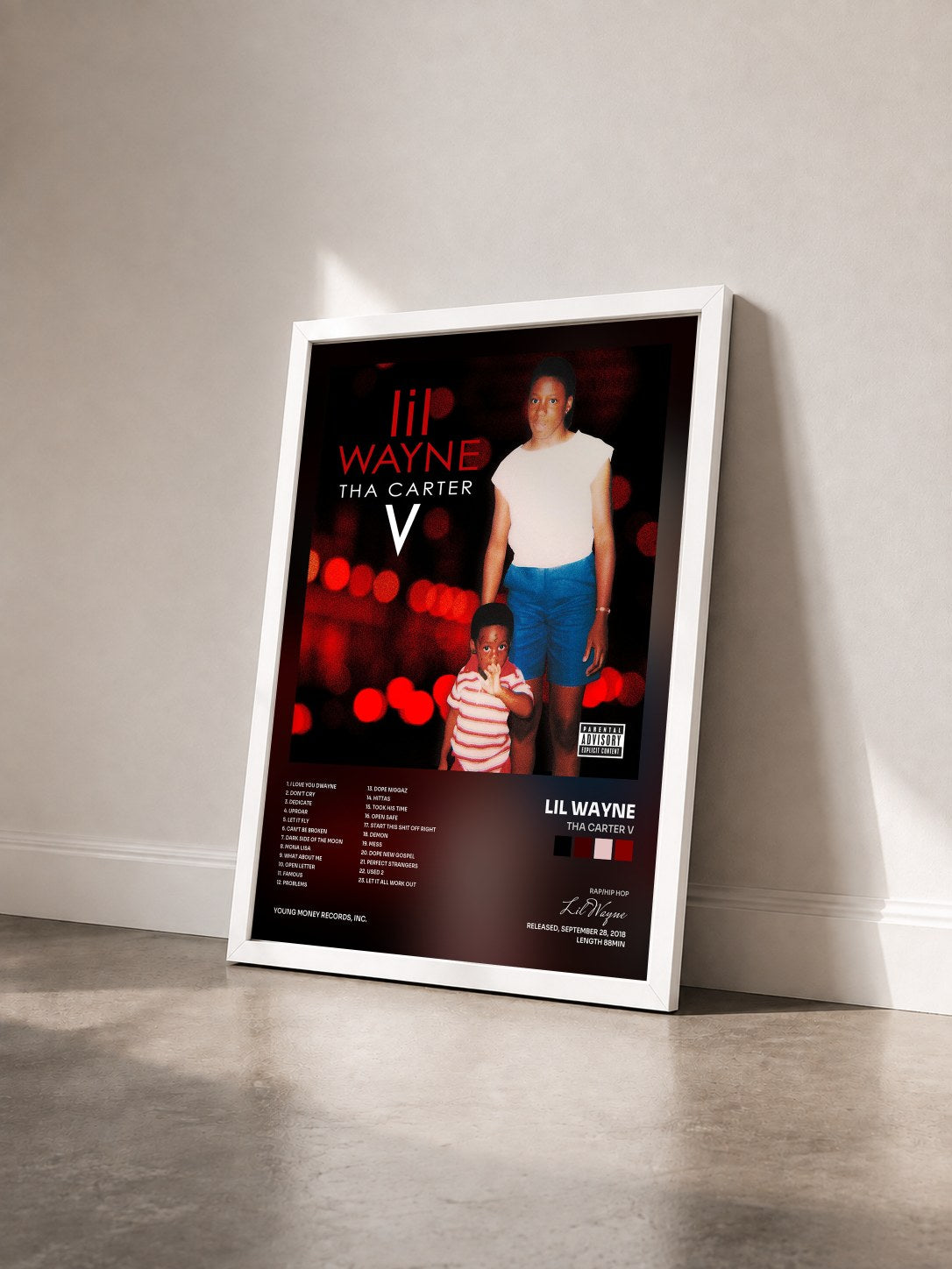 #blanc Tableau de l'album Tha Carter V de Lil Wayne vu de trois quarts, cadre blanc