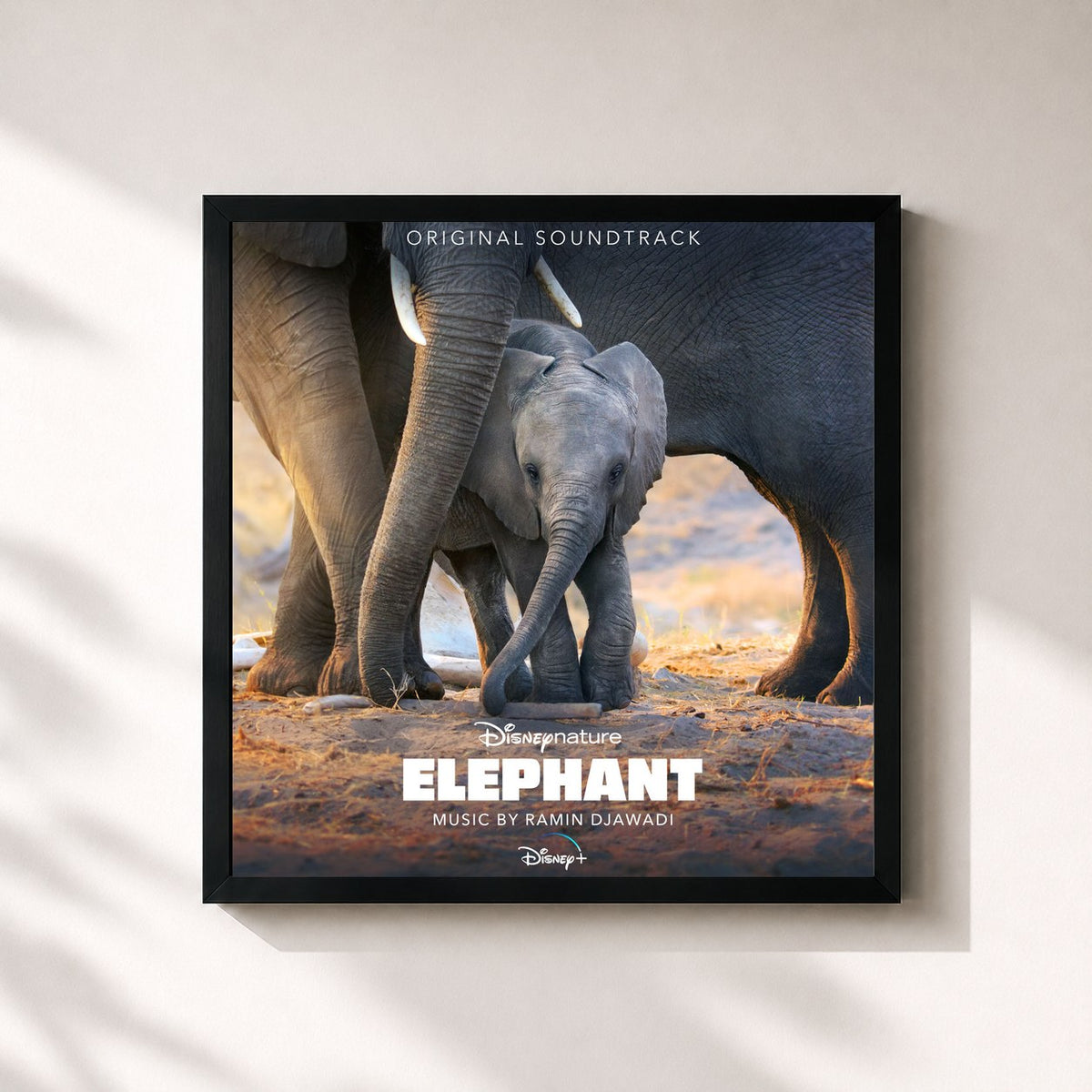 #noir Tableau carré de l'album Elephant (Original Soundtrack) de Ramin Djawadi, cadre noir 32x32 cm