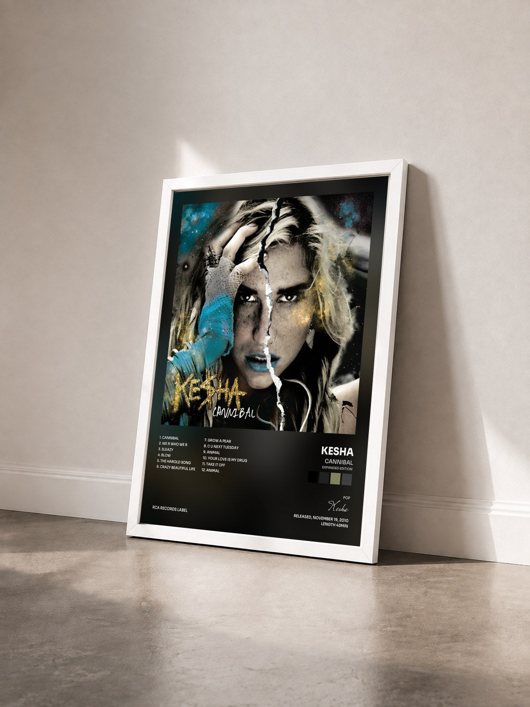 #blanc Tableau de l'album Cannibal (Expanded Edition) de Kesha vu de trois quarts, cadre blanc