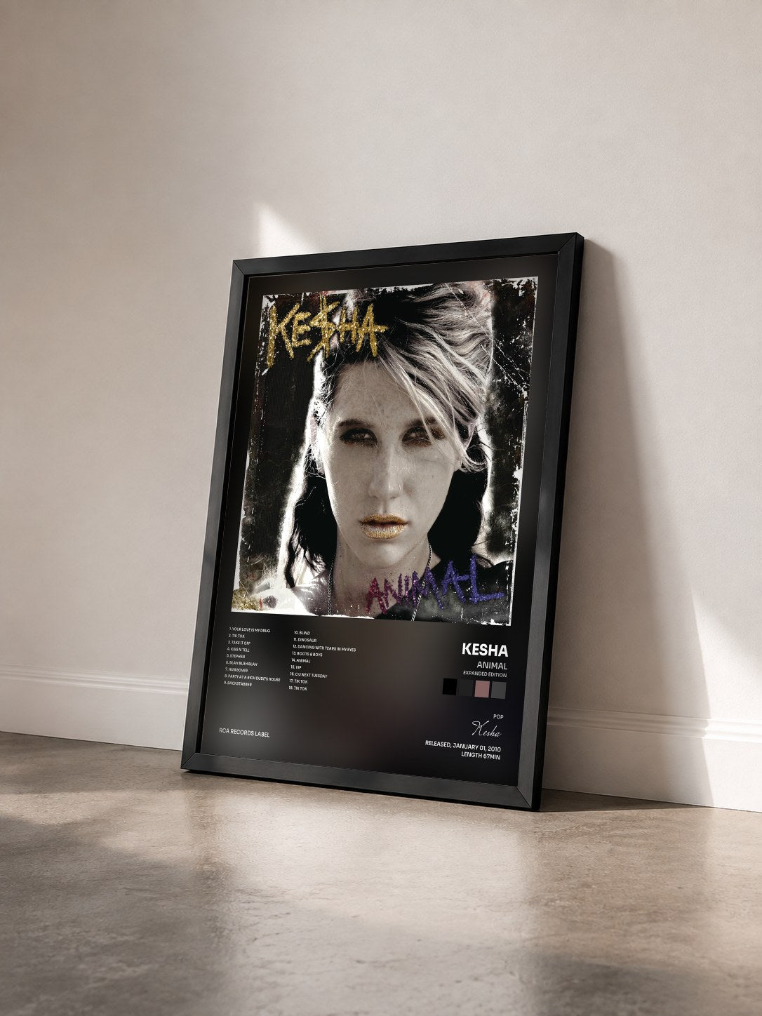 #noir Tableau de l'album Animal (Expanded Edition) de Kesha vu de trois quarts, cadre noir