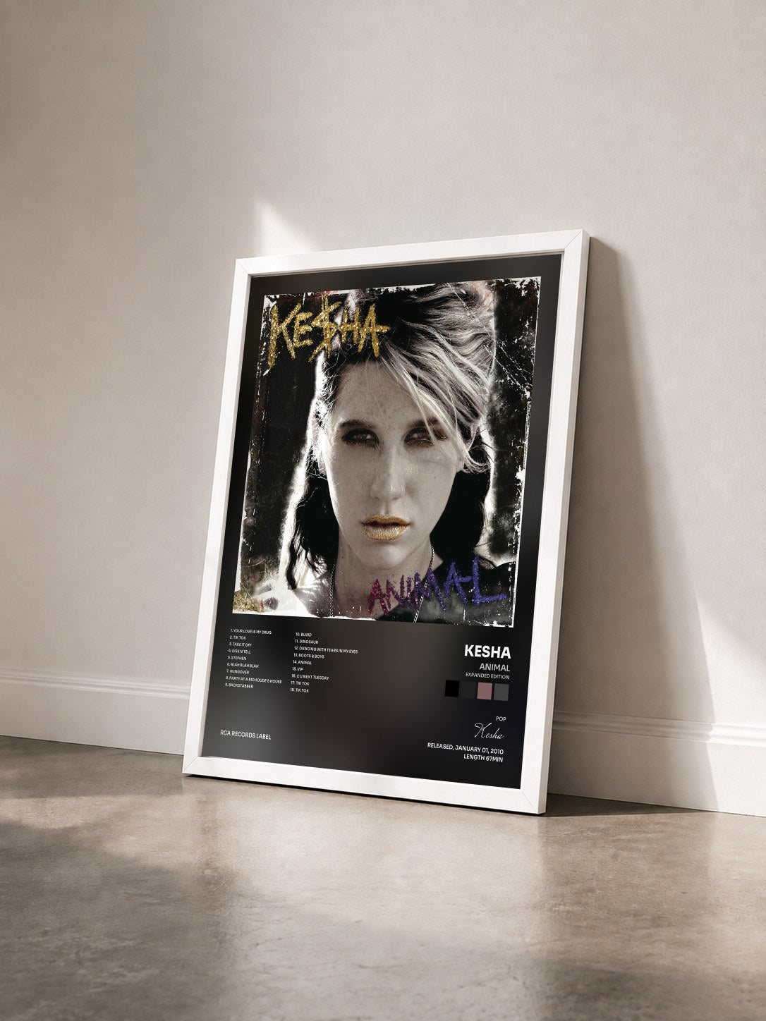 #blanc Tableau de l'album Animal (Expanded Edition) de Kesha vu de trois quarts, cadre blanc