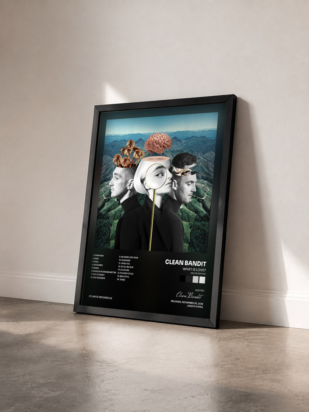 #noir Tableau de l'album What Is Love? (Deluxe Edition) de Clean Bandit vu de trois quarts, cadre noir