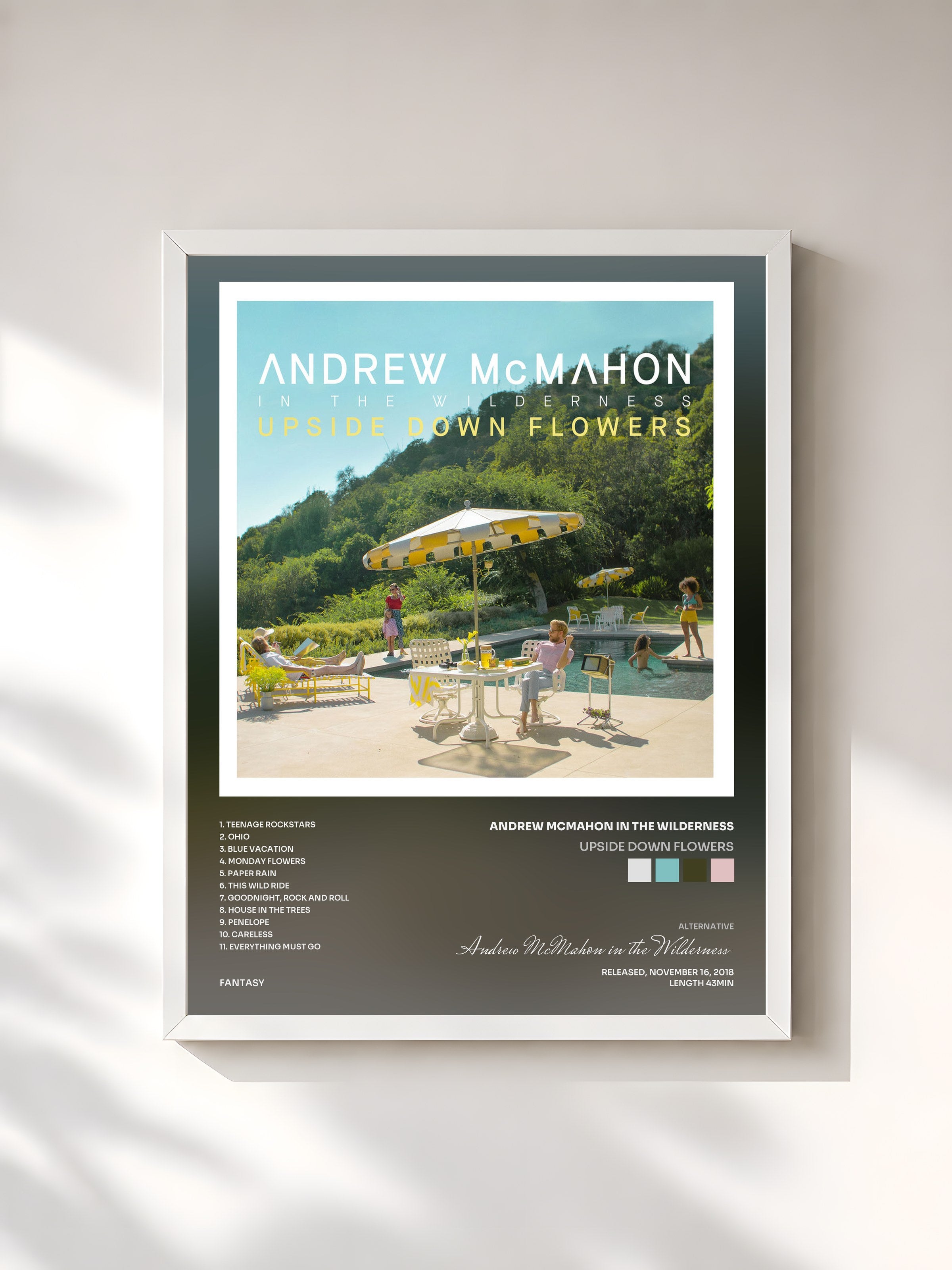 #blanc Tableau de l'album Upside Down Flowers de Andrew McMahon in the Wilderness, cadre blanc, imprimé et encadré en France