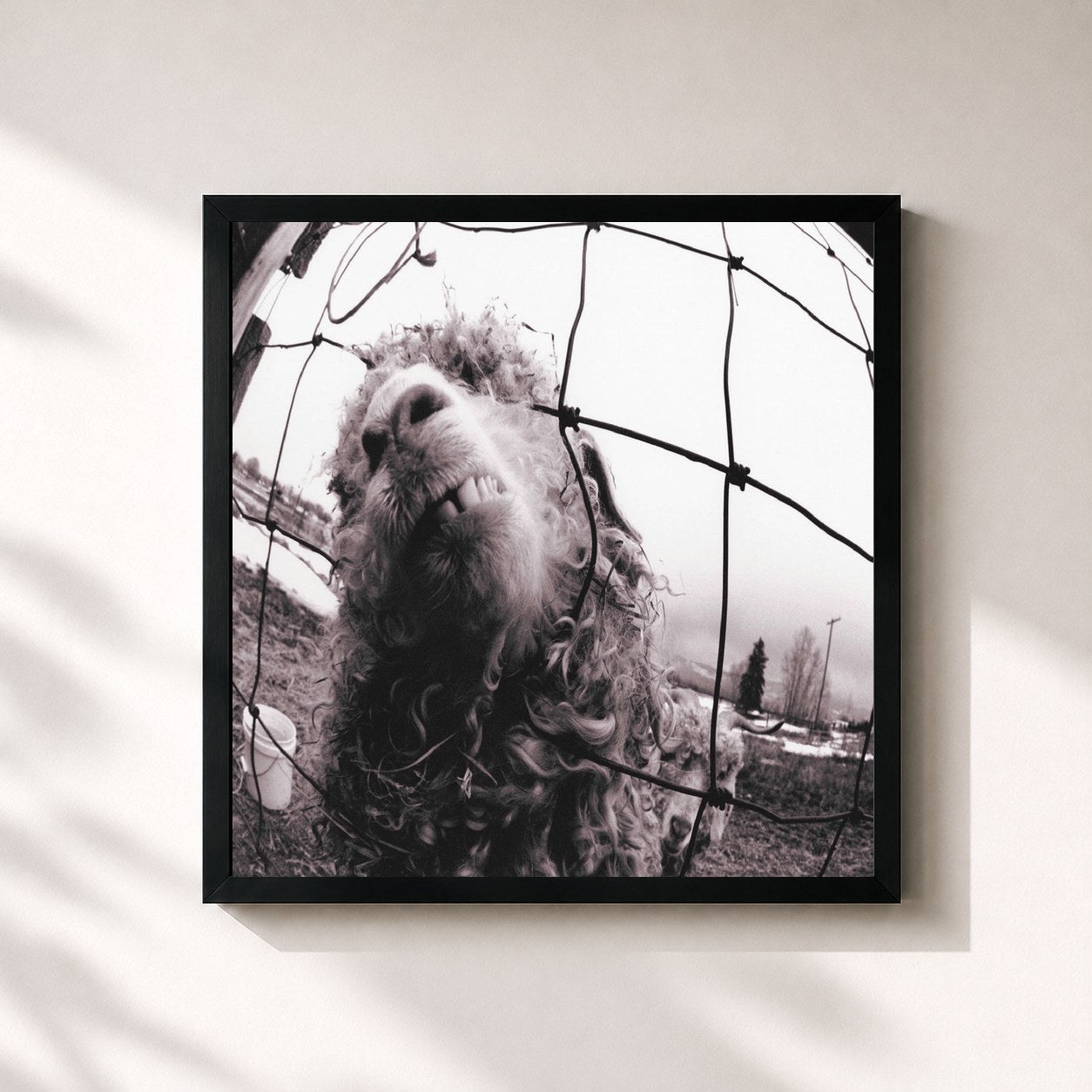 #noir Vs. by Pearl Jam as a square framed art print, black 32x32 cm frame