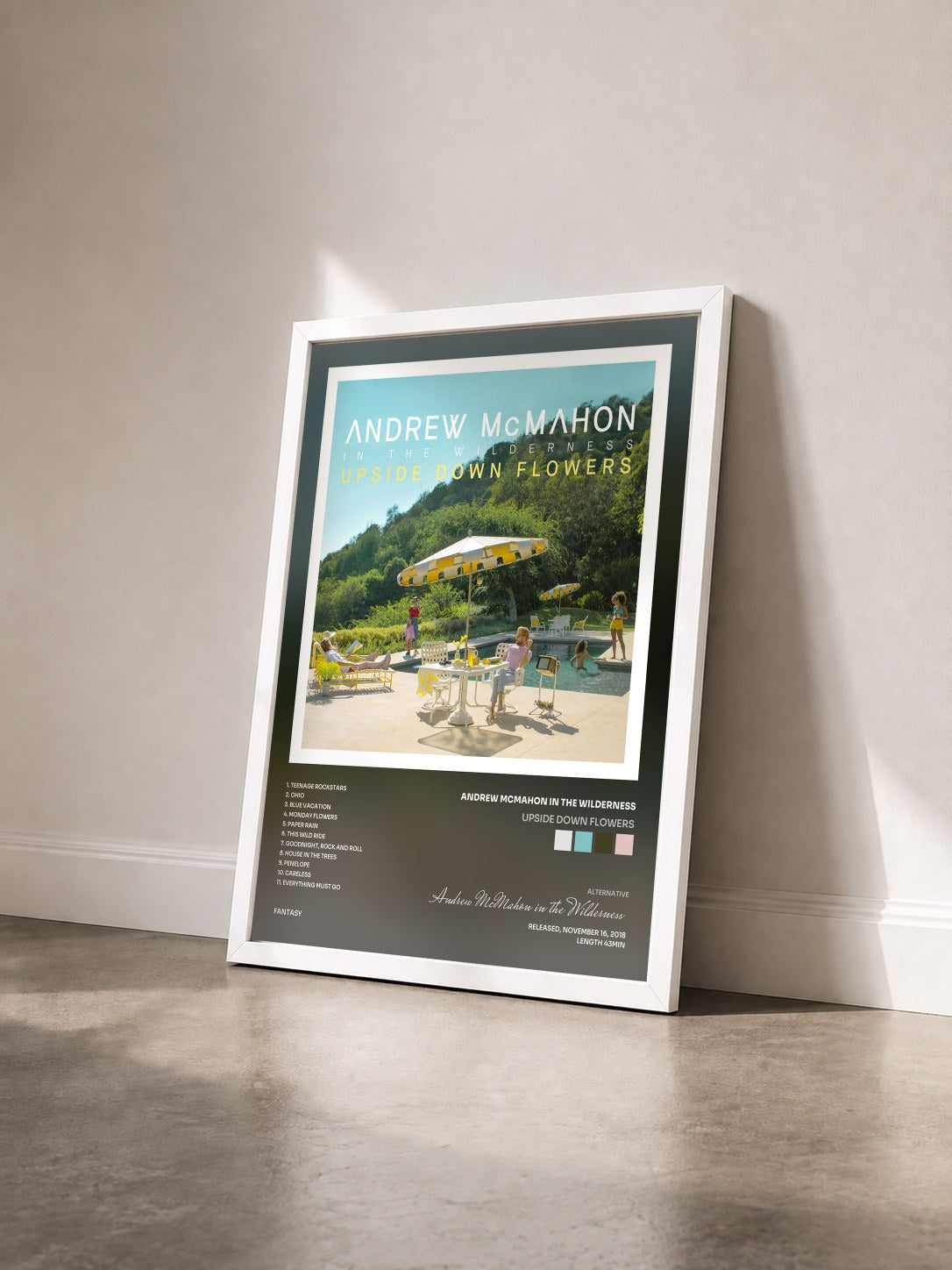 #blanc Tableau de l'album Upside Down Flowers de Andrew McMahon in the Wilderness vu de trois quarts, cadre blanc