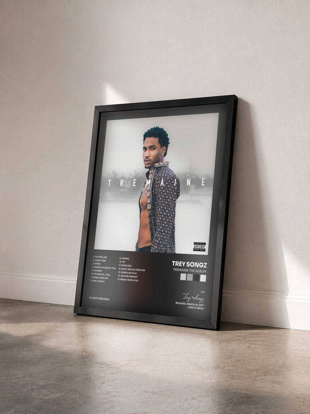 #noir Tableau de l'album Tremaine the Album de Trey Songz vu de trois quarts, cadre noir