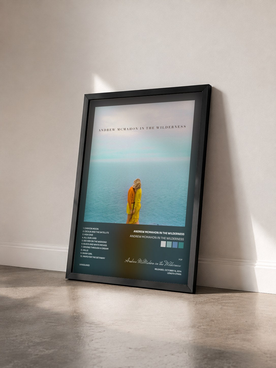 #noir Tableau de l'album Andrew McMahon In The Wilderness de Andrew McMahon in the Wilderness vu de trois quarts, cadre noir