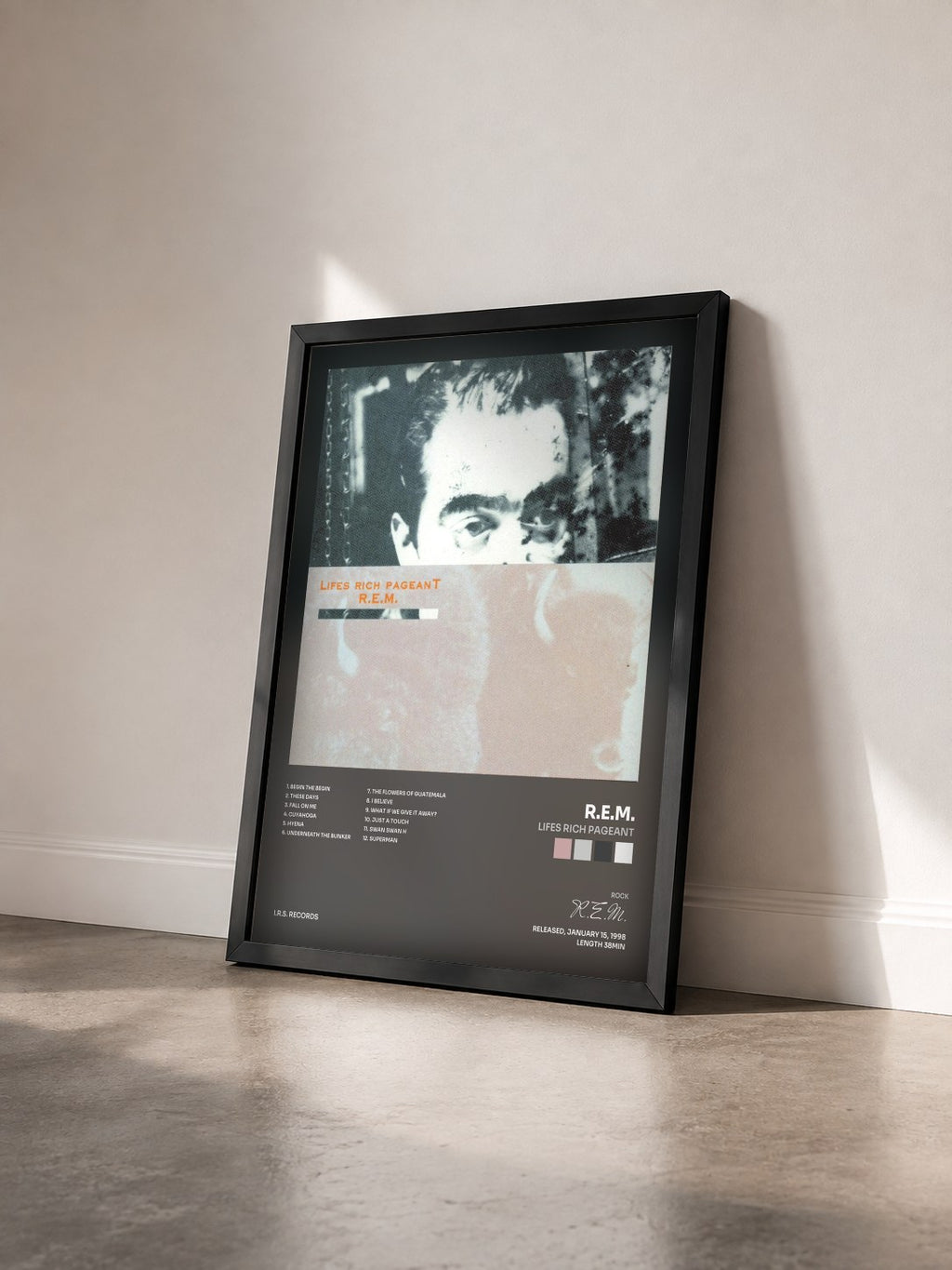#noir Tableau de l'album Lifes Rich Pageant de R.E.M. vu de trois quarts, cadre noir